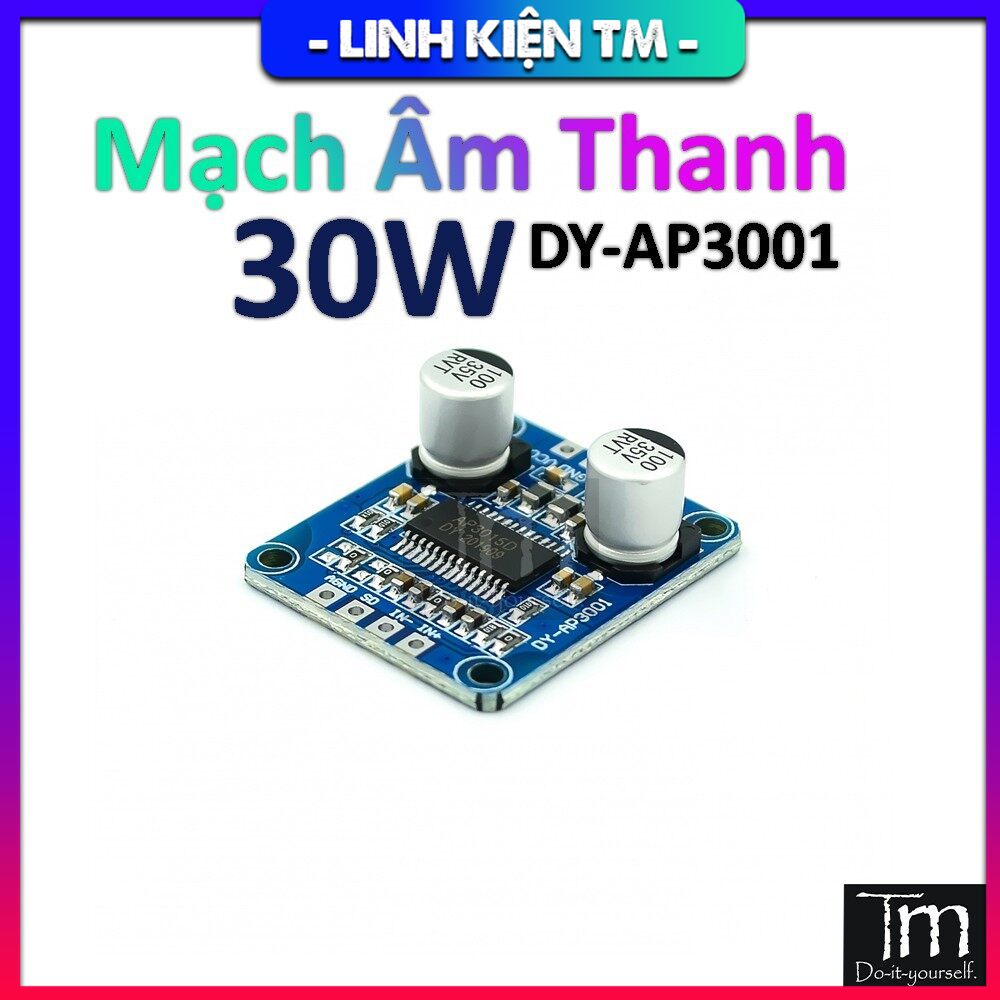 Mạch Khuếch Đại Âm Thanh Mono Class D 12V 24V 30W (DY-AP3001)