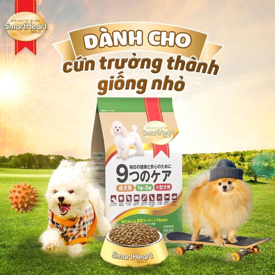Hạt smartheart gold cao cấp cho chó vị cừu & gạo