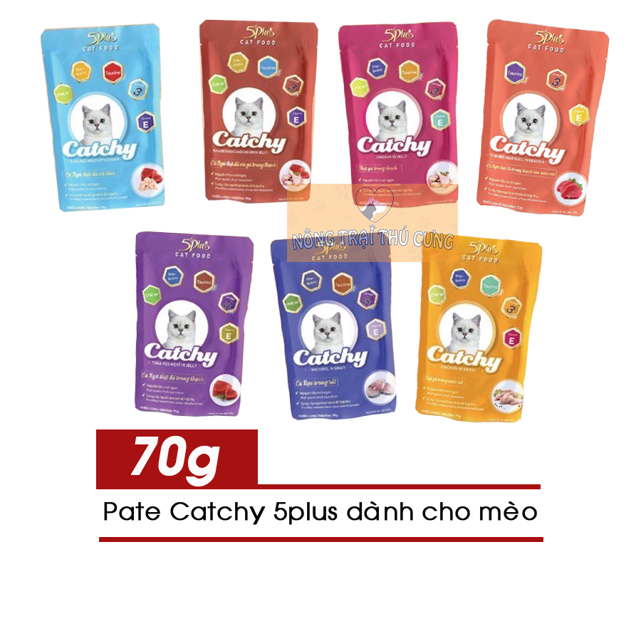 Pate Catchy (5Plus) Cho Mèo Mọi Lứa Tuổi 70g - [Nông Trại Thú Cưng]