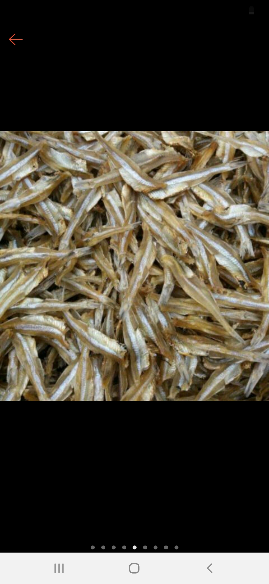 1kg CÁ CƠM nhạt TO NGON DỄ CHẾ BIẾN