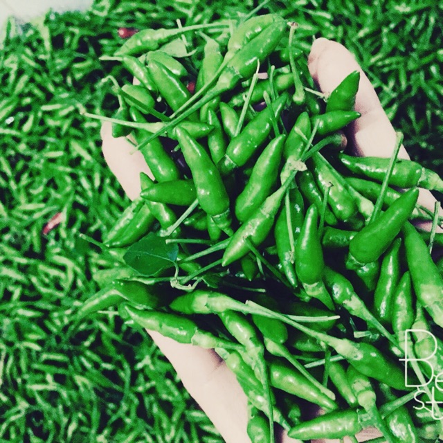Hạt giống ớt xiêm xanh - gói 0.1 gram