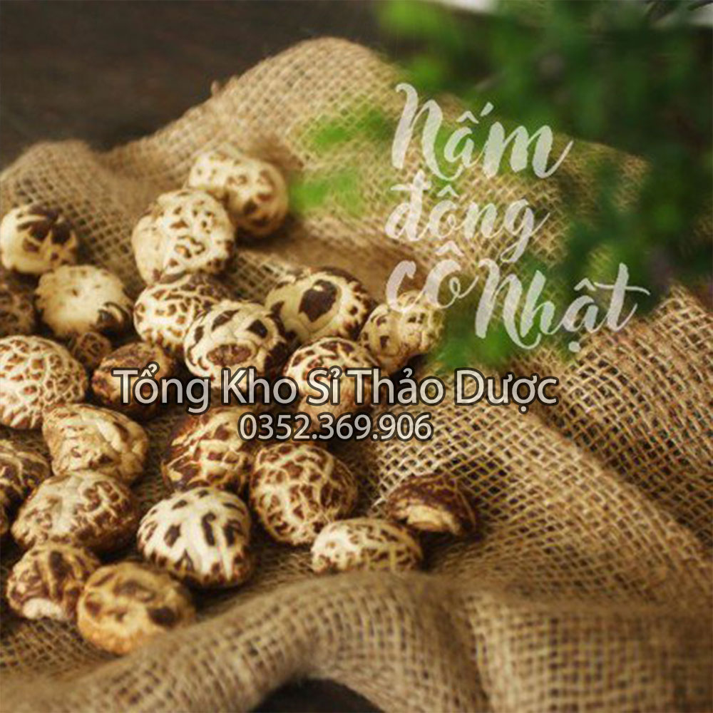 Nấm đông cô Nhật Bản 100g (Nấm đông cô sấy khô loại 1)