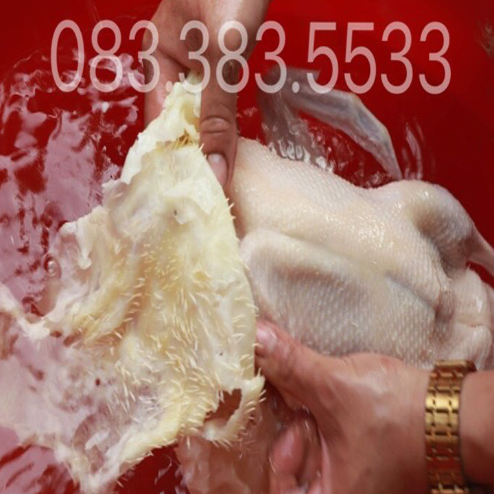 sáp vặt lông vịt 5kg tặng bột tẩy lông