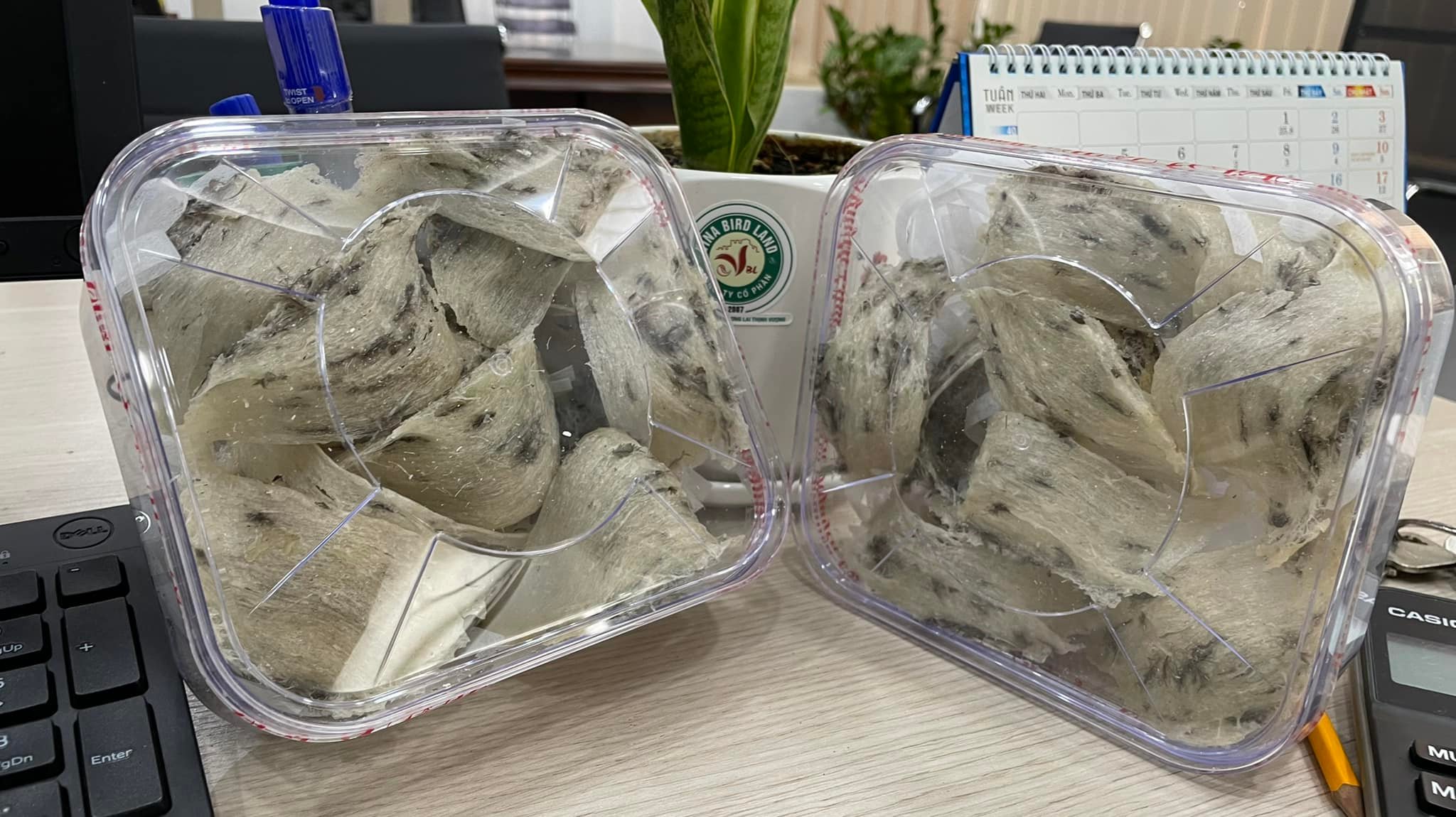 Yến thô tự nhiên 100gram cao cấp