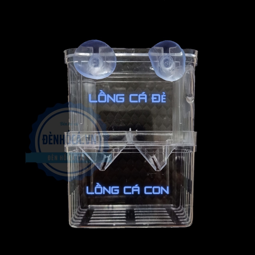 Lồng cho cá đẻ bằng mica