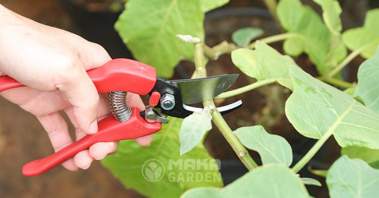 Kéo cắt cành Chikamasa PS-20R hàng Nhật