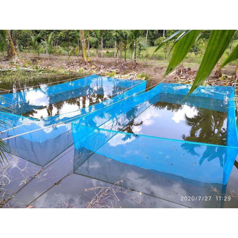 ภาพกระชัง 3