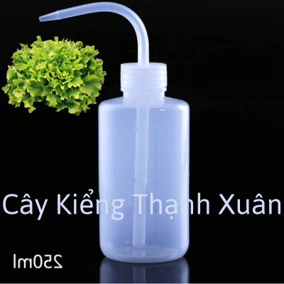 Bình tưới vòi cong 250ml - Bình tưới sen đá