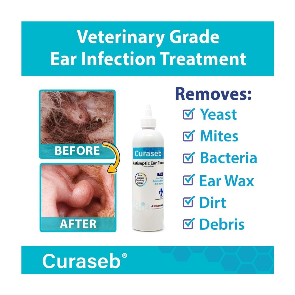 curaseb antiseptic ear flush directions