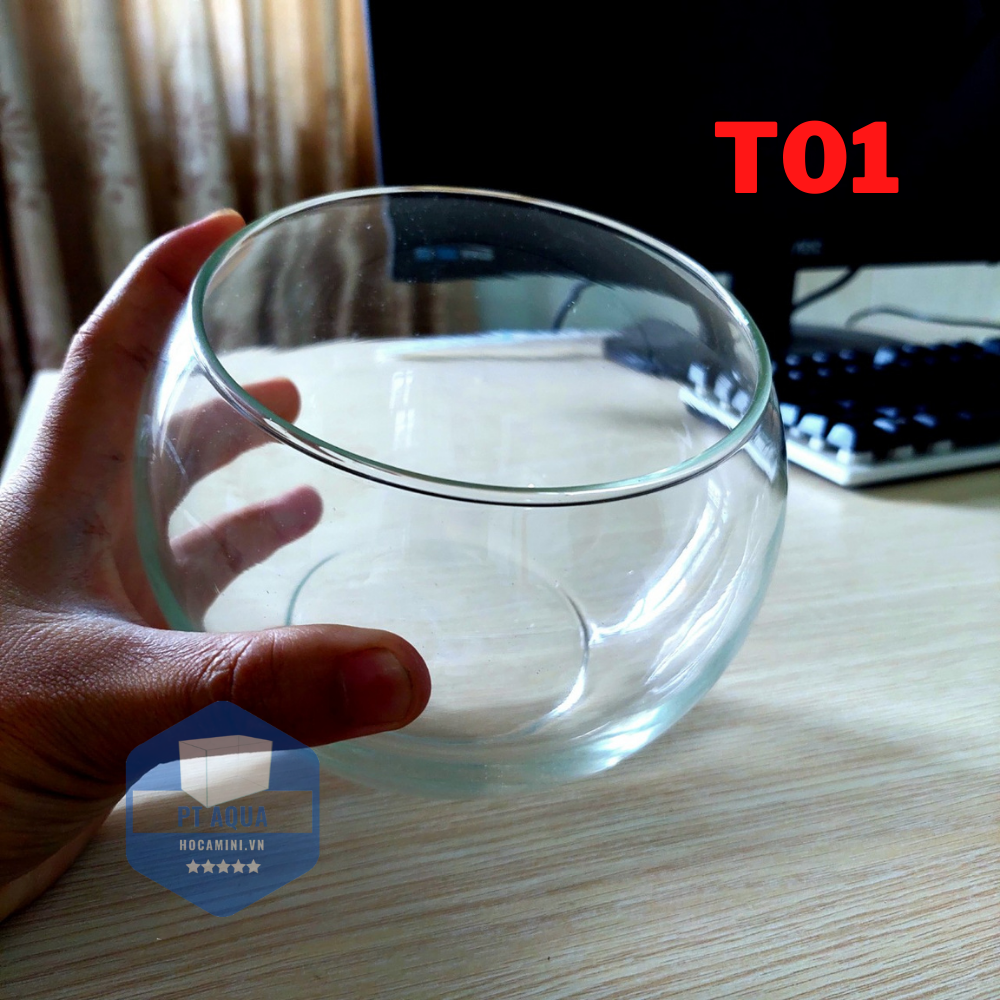 [Hoàn Tiền 10%] Chậu thủy tinh mini , Bể cá mini để bàn