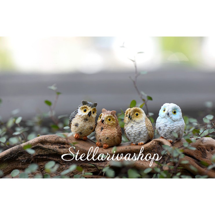 Mô hình chim cú mèo trang trí tiểu cảnh terrarium quà tặng trang trí