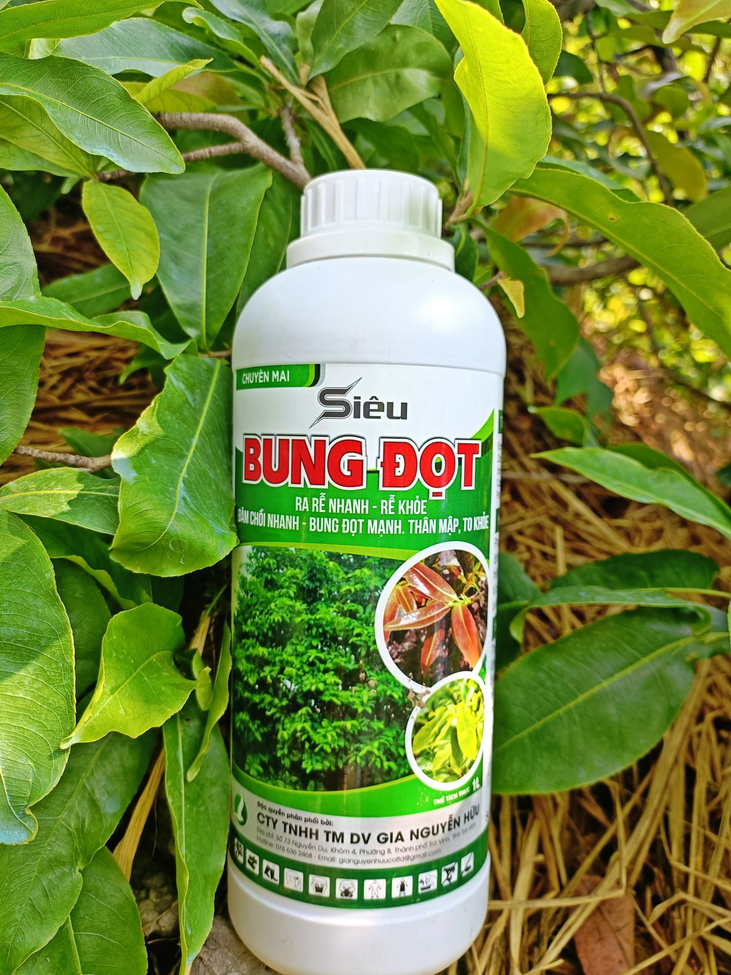 BUNG ĐỌT MAI VÀNG (SIÊU BUNG ĐỌT 1 LÍT)