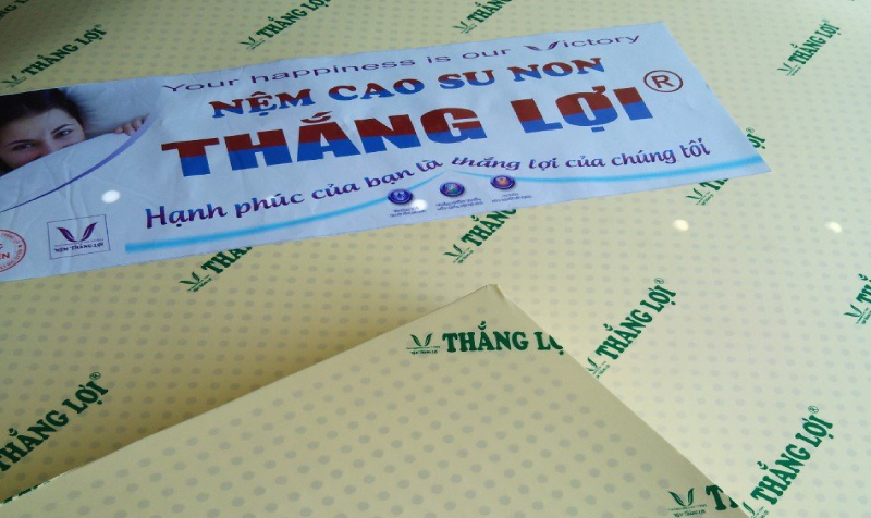 NỆM ĐỦ SIZE 1M X 2M X 5cm CAO SU NON THẮNG LỢI