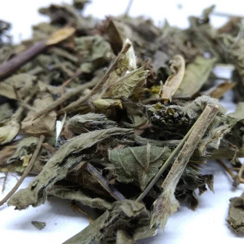Cây chỉ thiên khô 1kg