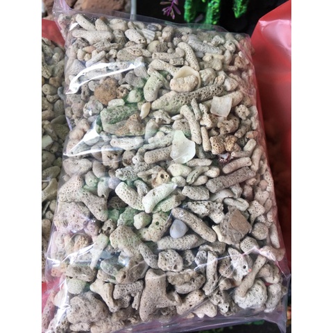 1kg San Hô Vụn Lọc Nước Bể Cá