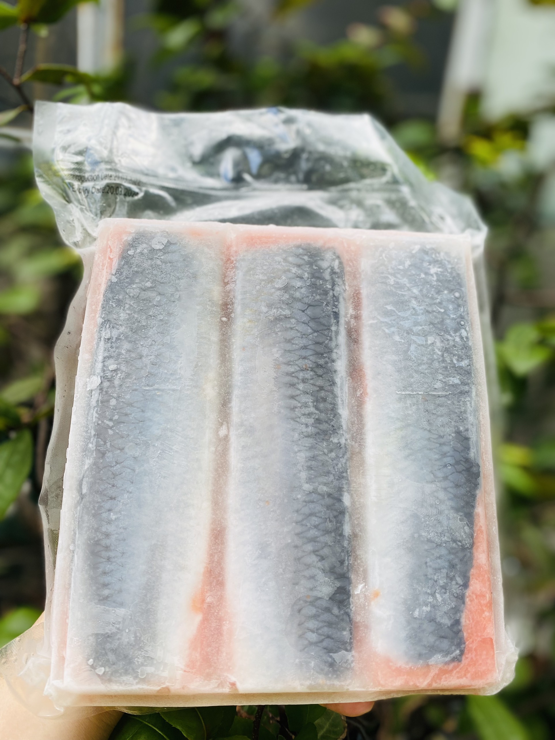 [GIAO NHANH 2H HCM] Cá Trích Ép Trứng Nhật (màu ngẫu nhiên) Giá sỉ (1Kg)