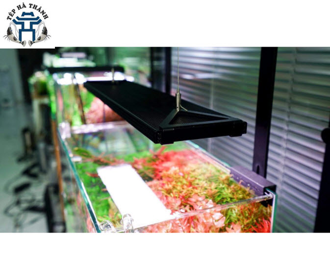 [Hoàn Tiền 10%] Đèn LED Cao Cấp Chihiros WRGB 2 Pro