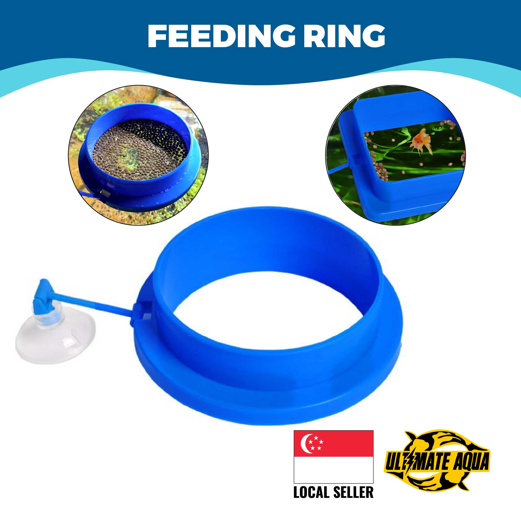 floating fish feeder ring