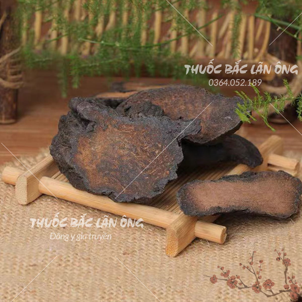 Hà thủ ô chế đỗ 500g, hà thủ ô rừng, thủ ô đỏ, thái miếng, khô, thơm, sạch, giúp đen tóc, ngừa rụng tóc