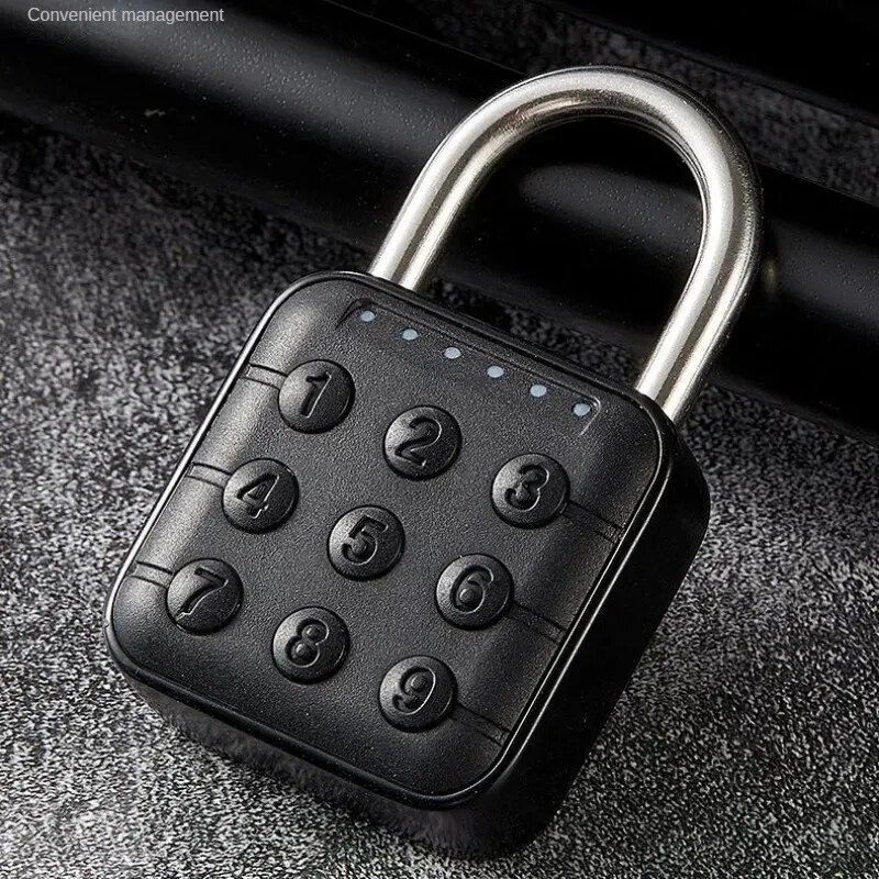 Digital Padlock With Password Electronic Art Lock Security Protection Art Door Lock Password Button Padlock 6-Digit Passcode