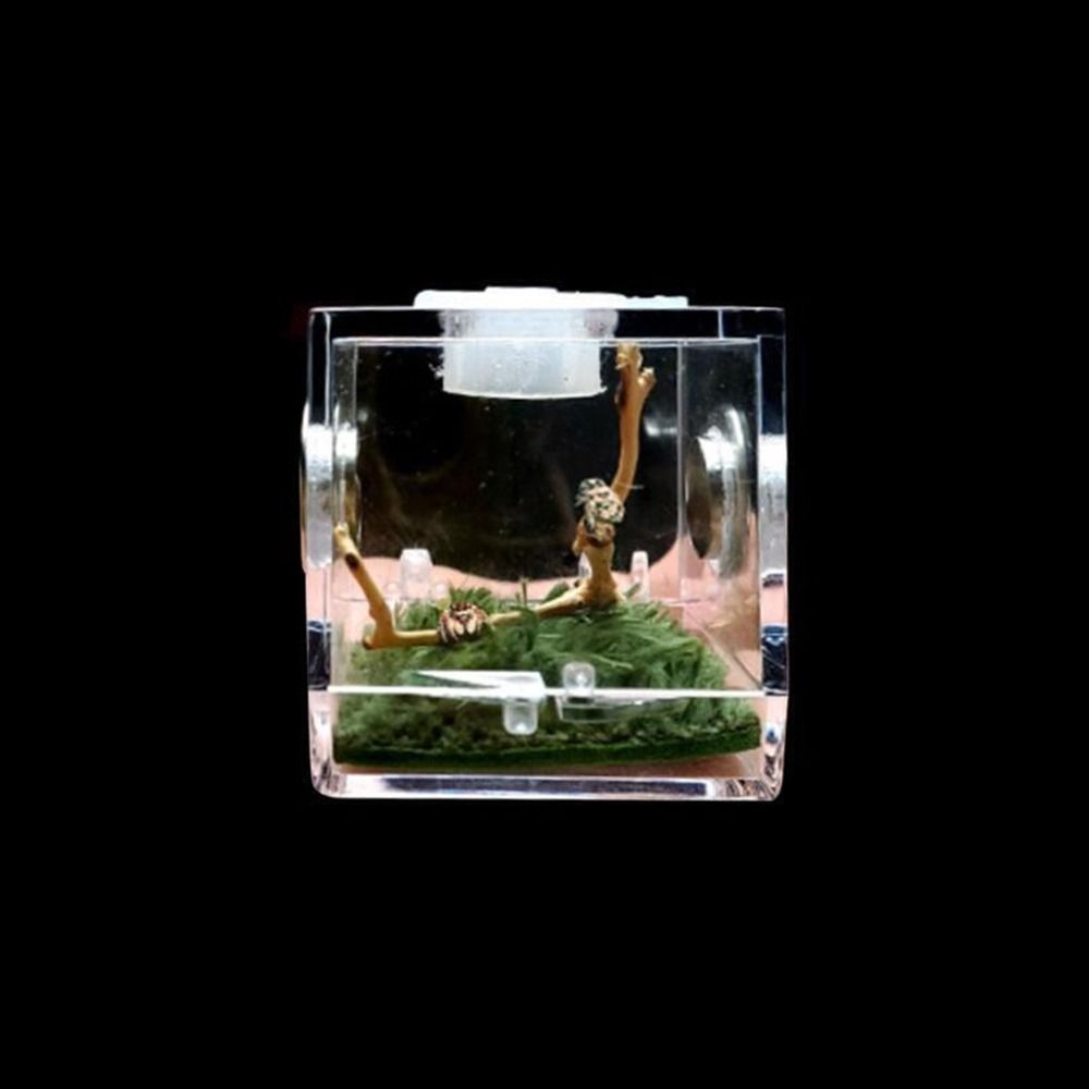 Professional with Humidifier Spider Feeder Spider habitat Breeding Cage ...