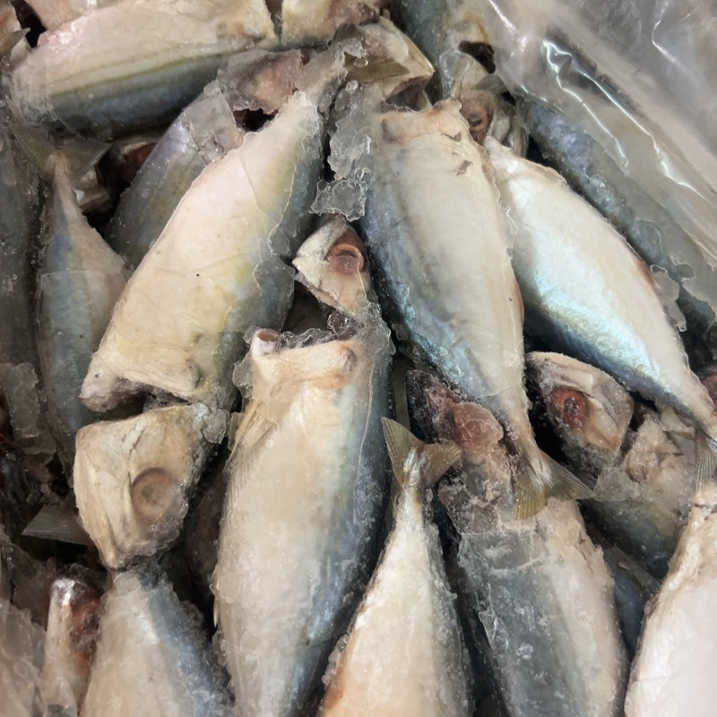 Cá bạc má đông lạnh - Khay 500Gr (Giao Tphcm)