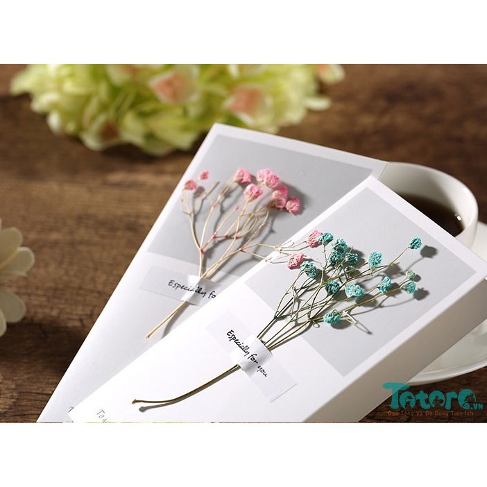 Thiệp basic Hoa Lá Khô - Bình Hoa - Beautiful everyday