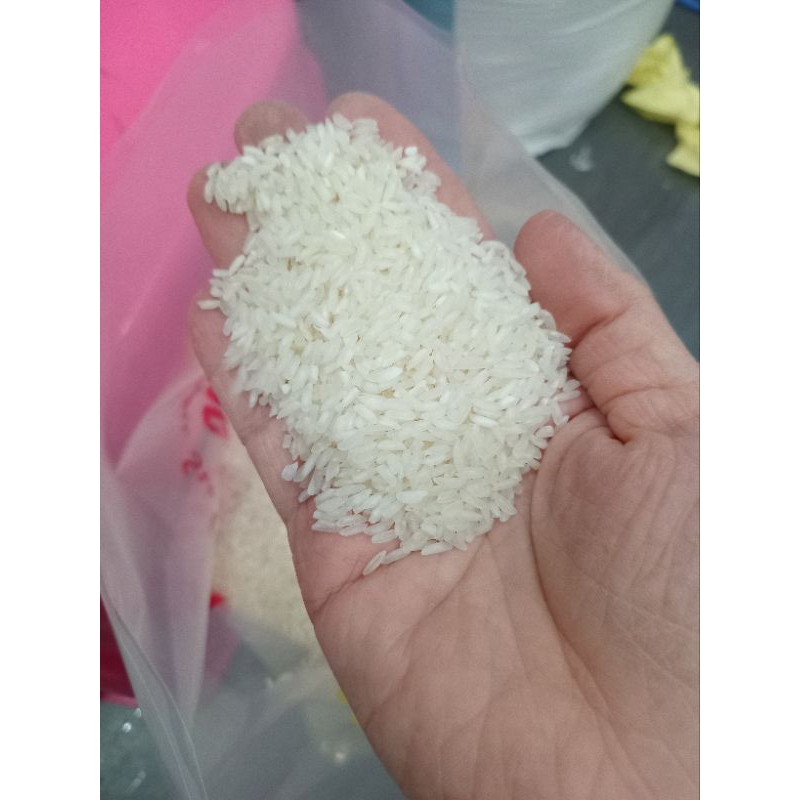 5kg gạo móng chim nở khô xốp