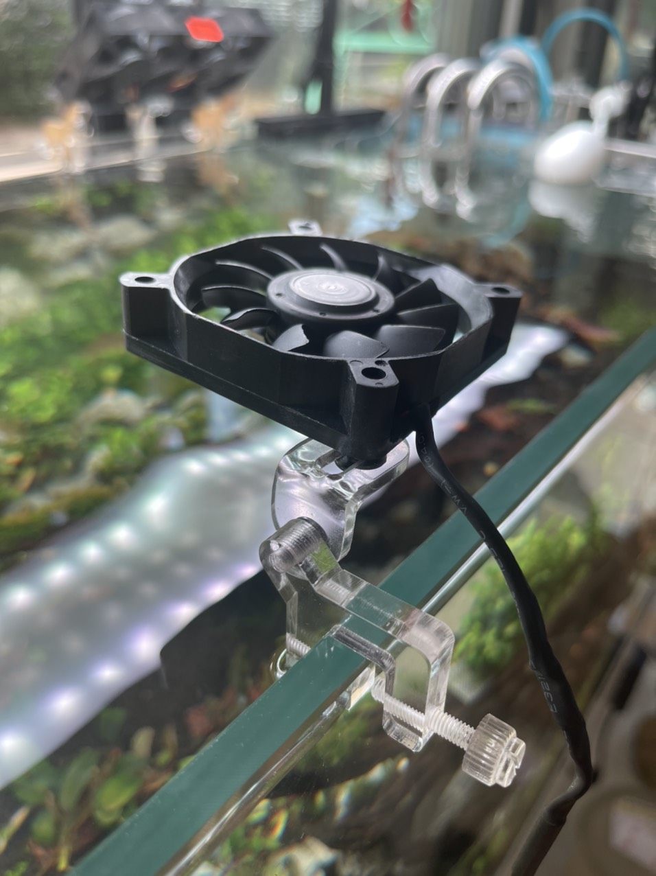 Quạt Mini Làm Mát Hồ Cá - Quạt Hồ Cá Mini - Quạt Làm Mát Hồ Cá Mini