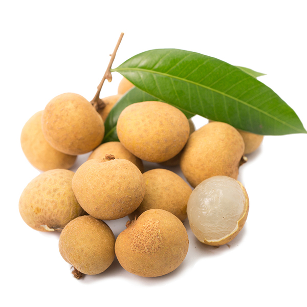 Cây giống nhãn hạt lép indo, cây nhãn hạt lép indo giống nhập khẩu + cây đẹp nhanh trái siêu quả giá rẻ, cam kết chất lượng