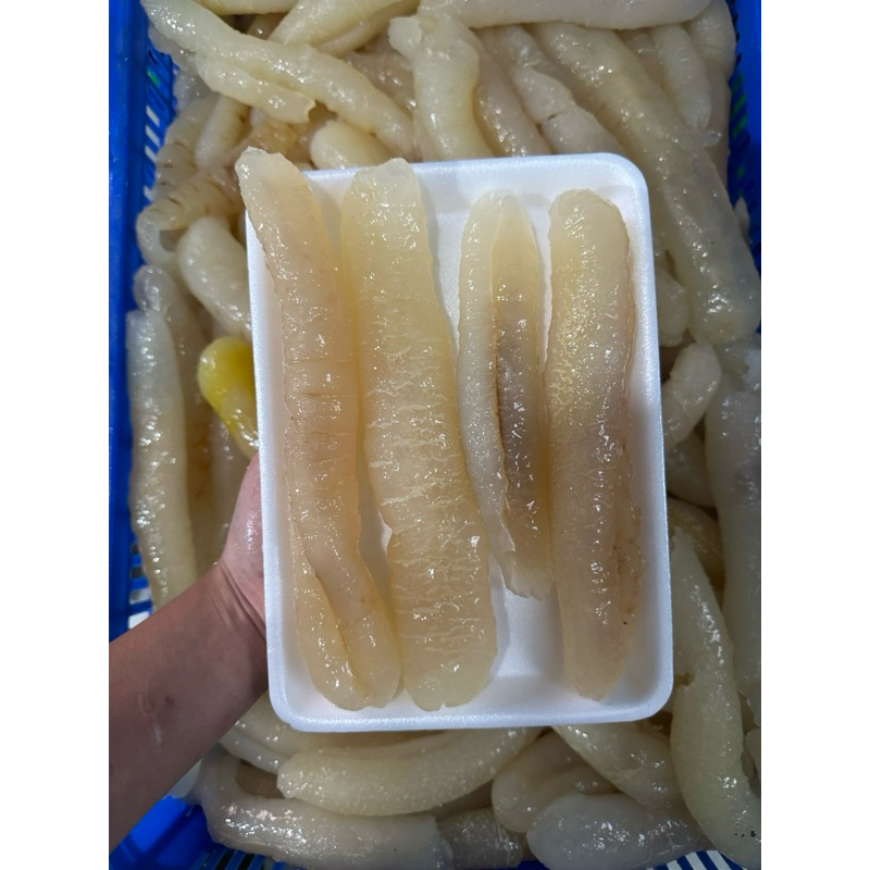 Hải sâm da vàng - Khay 500Gr (giao tphcm)