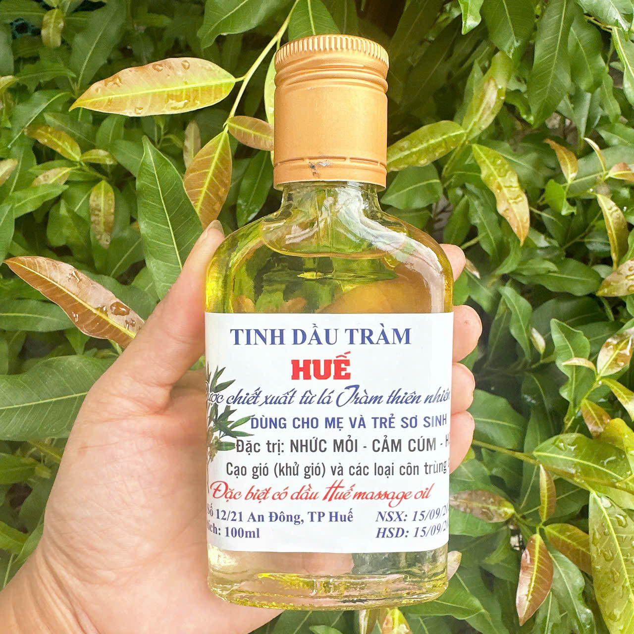 Combo 2 Chai Dầu tràm Huế chai 100ml