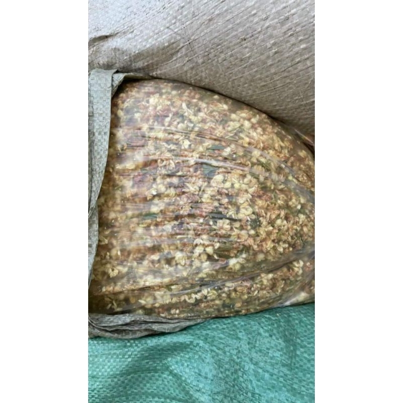 1KG TRÀ SƠN MẬT HỒNG SÂM