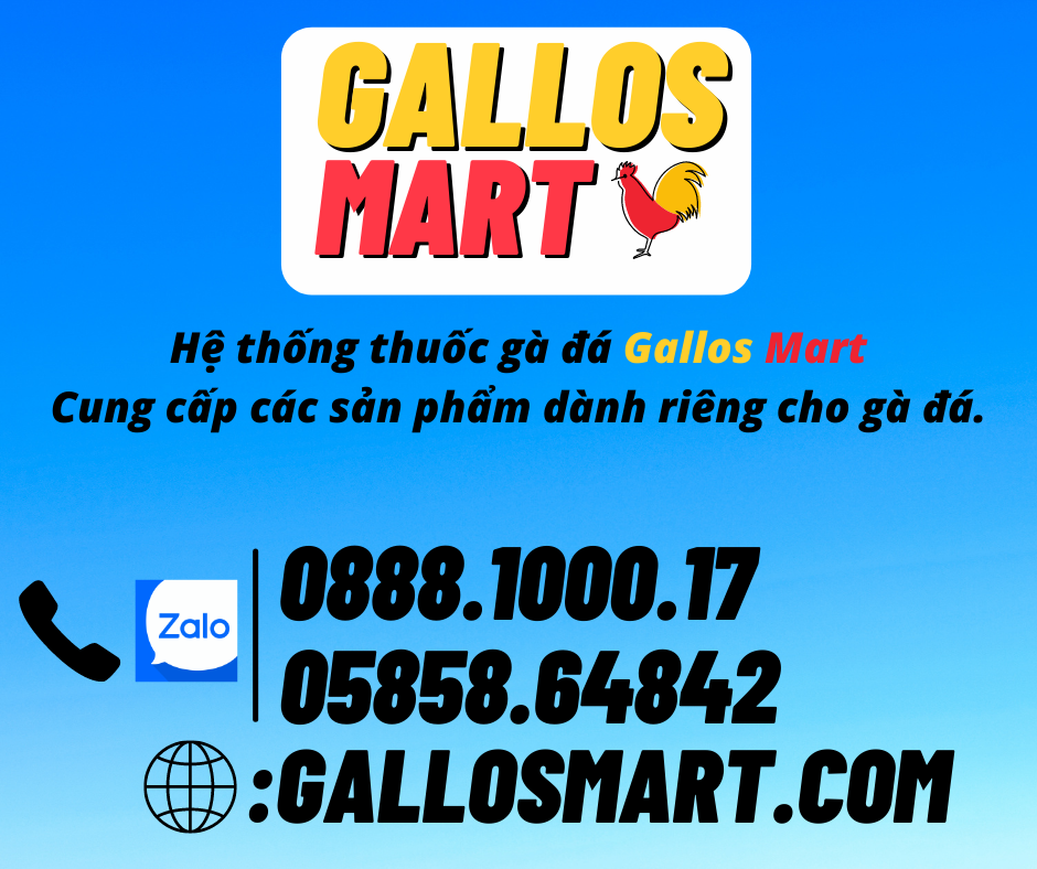 ĐÁ MÀI CỰA 2 MẶT