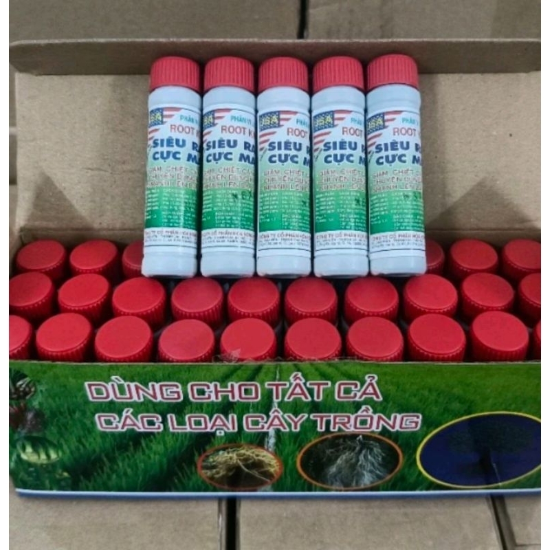 KÍCH RA RỄ ROOT KING SIÊU NHANH