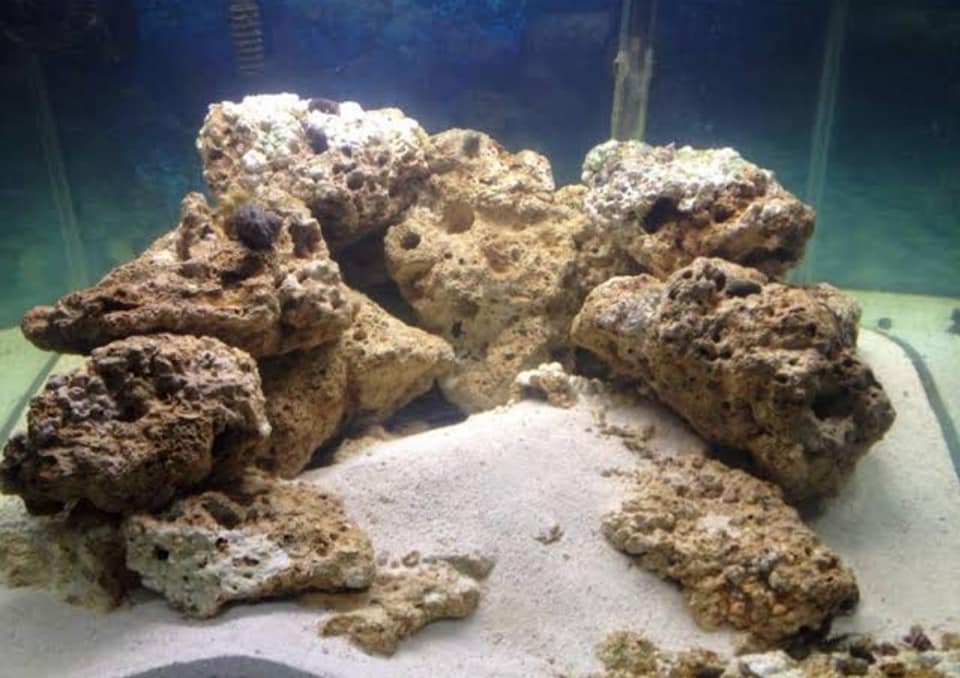 Dry Rocks for Saltwater Aquariums per Kilo | Lazada PH