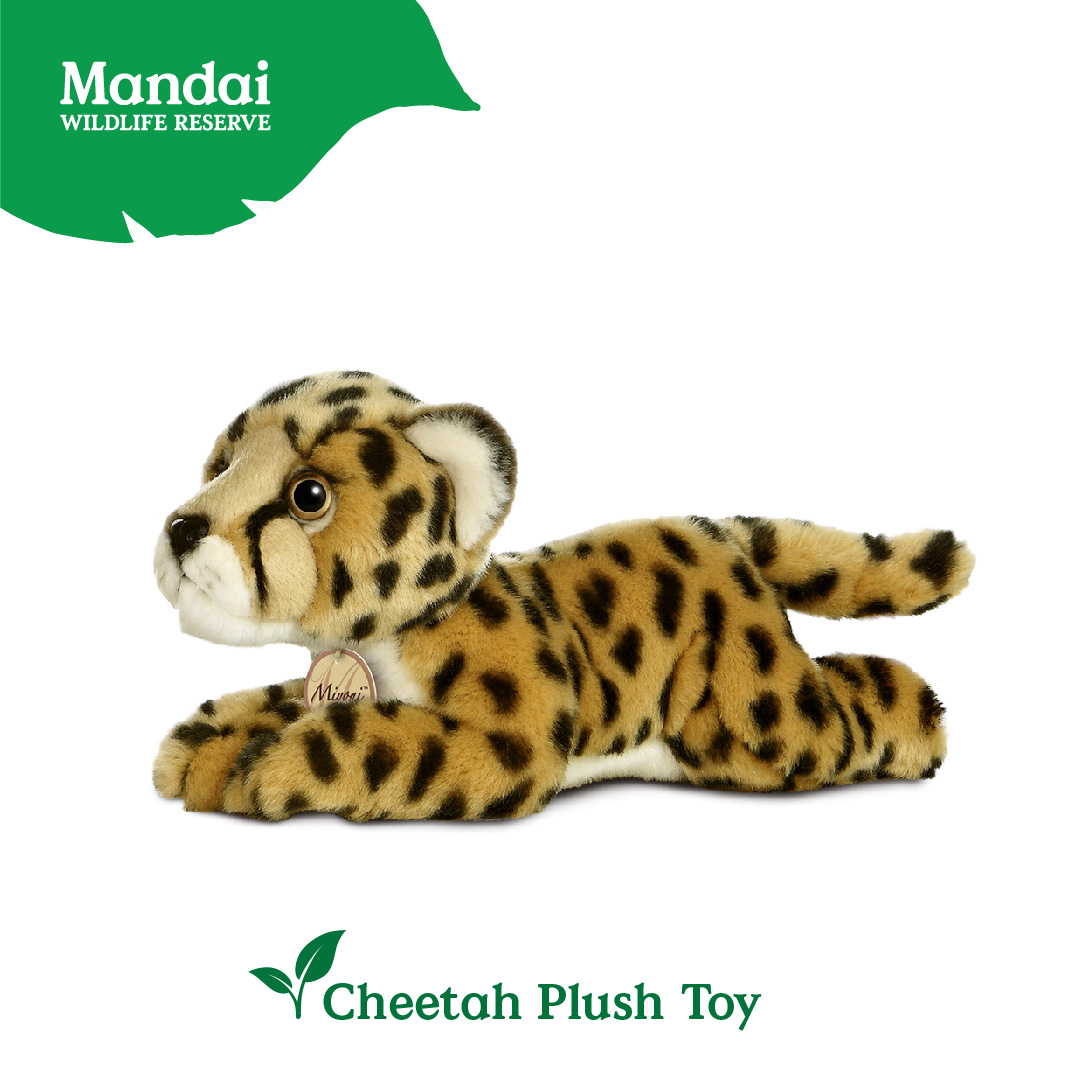 Leopard Cheetah Plush Toy Stuffed Big Cats Animal Realistic Details  Textures Good Sleeping Buddy MANDAI WILDLIFE RESERVE | Lazada Singapore