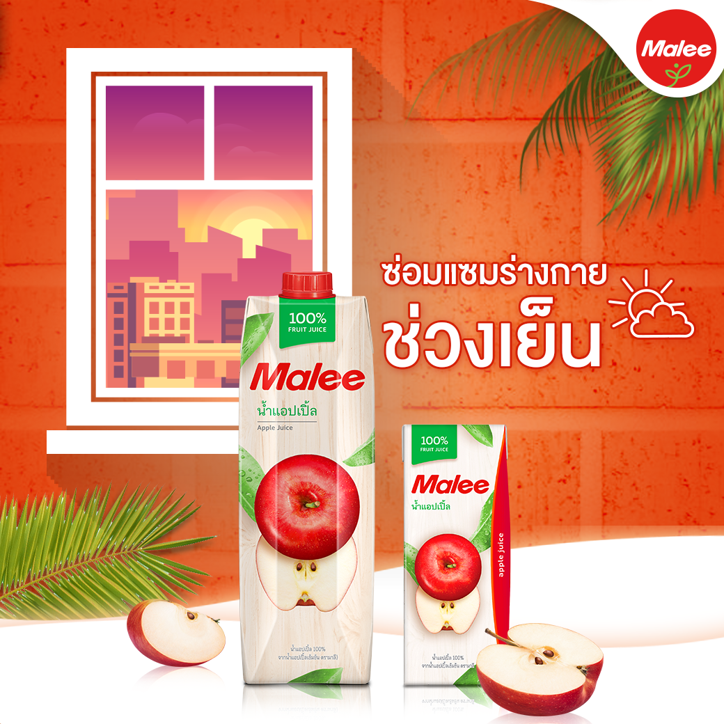 Combo 3 Hộp Nước Ép Táo Malee Premium 200ml - Nhập Khẩu Thái Lan