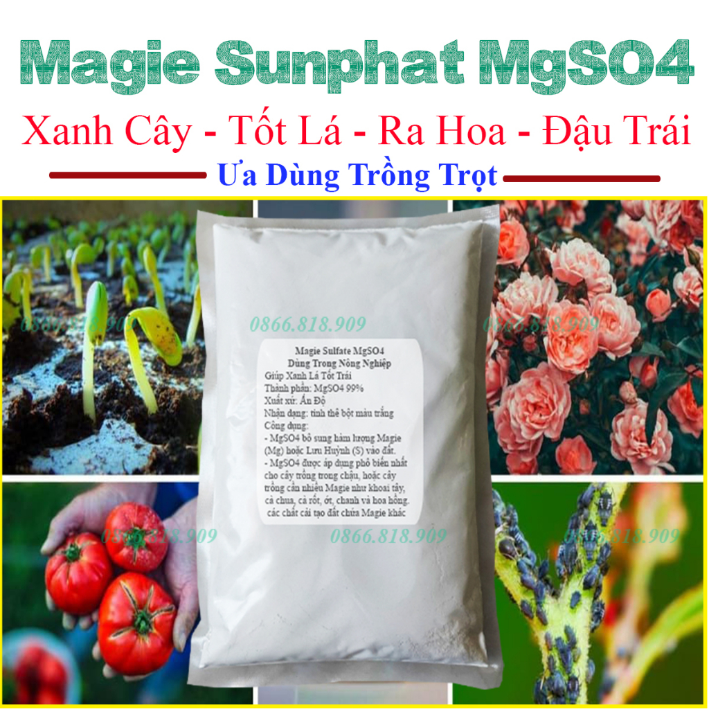 1 kg magnesium sulfate-MgSO4 99% plant carrier powder-magnesium sulfate for fruit Green