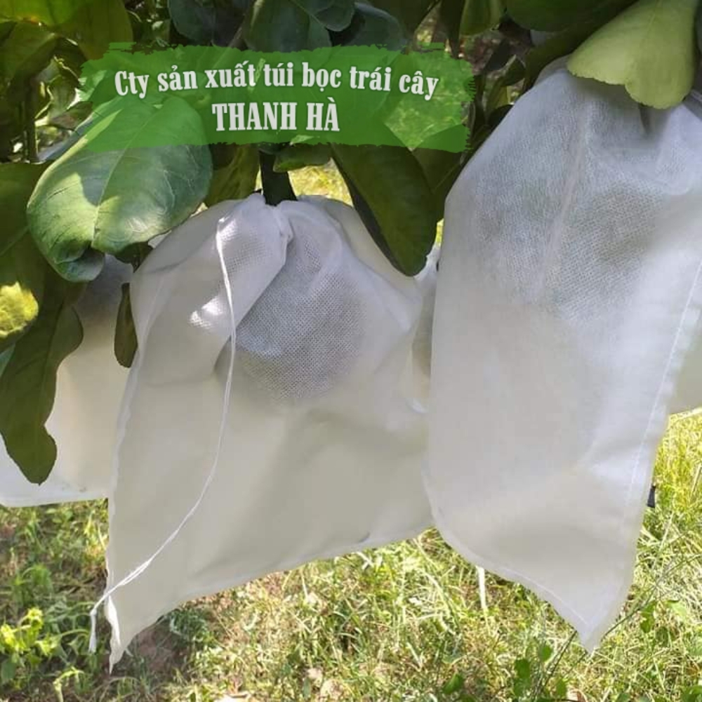 Bọc trái cây Thanh Hà loại túi bọc trái cây chất lượng cao kích cỡ 25x30cm (100 túi)