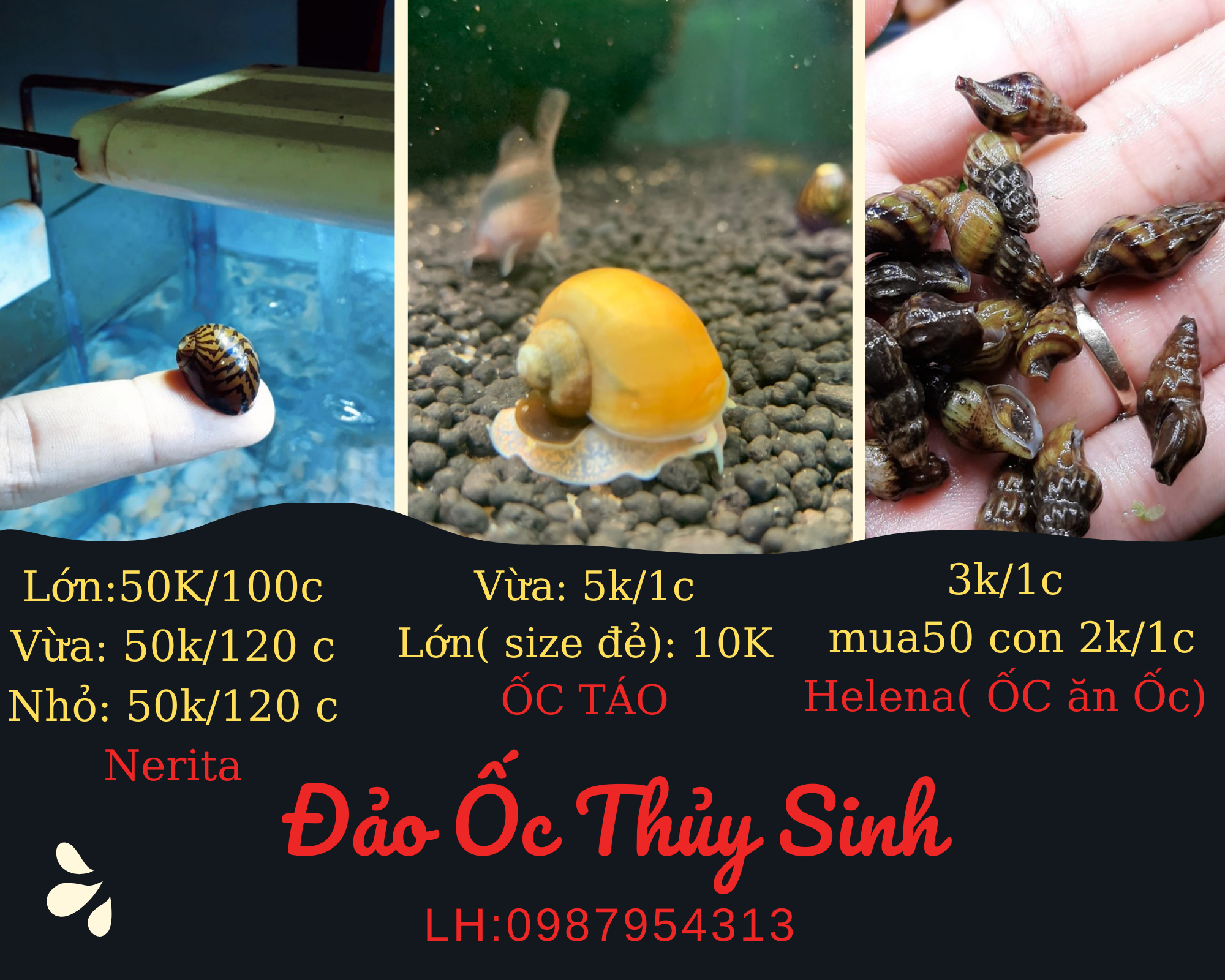 2 Mét dây OXY cho hồ cá 4 ly