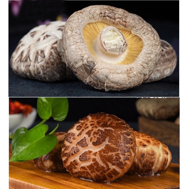 Nấm Đông Cô Trắng Nhật Bản 500g