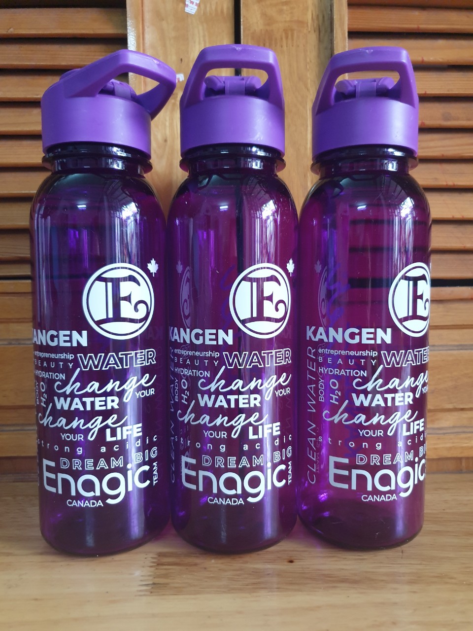 Bình Đựng Nước Ion kiềm Enagic Giữ Hydrogen (Made in USA)
