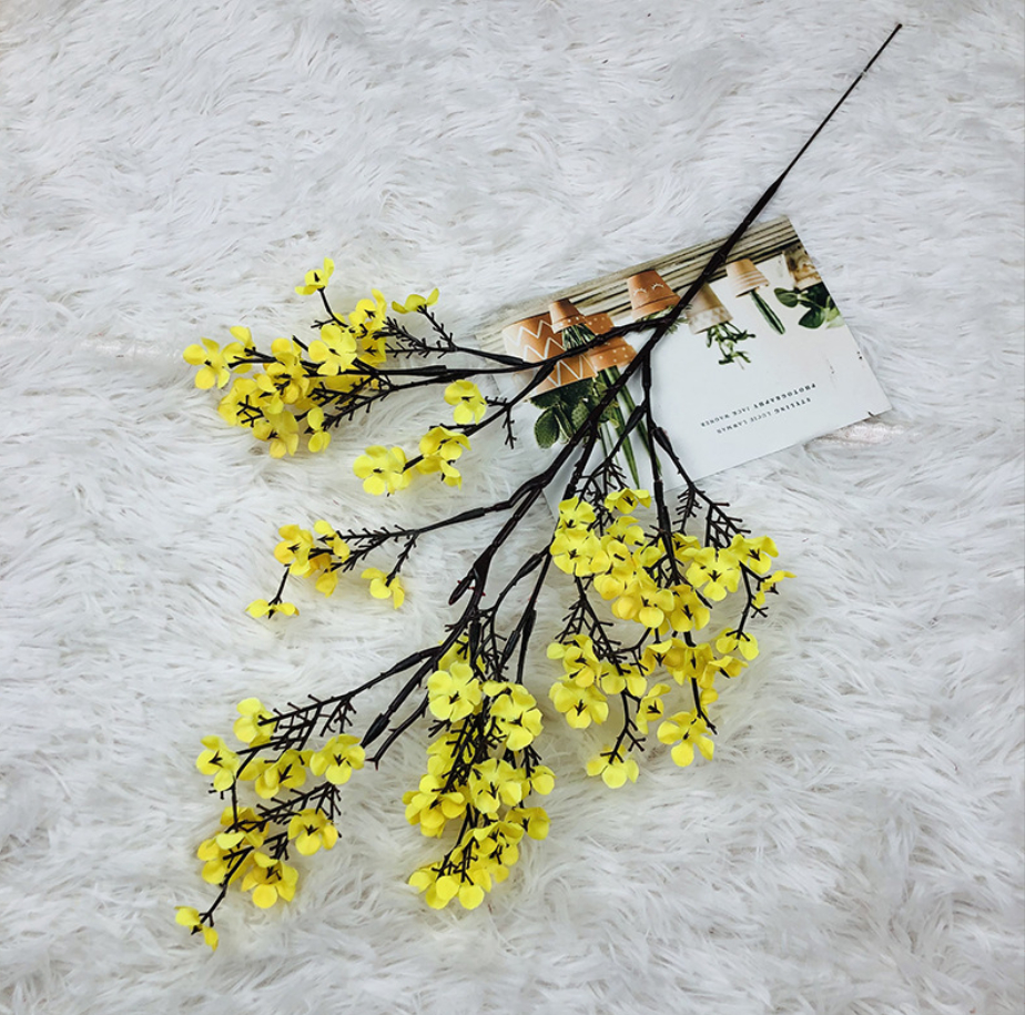 Cành hoa mai vàng -Mai Mỹ - thân cổ