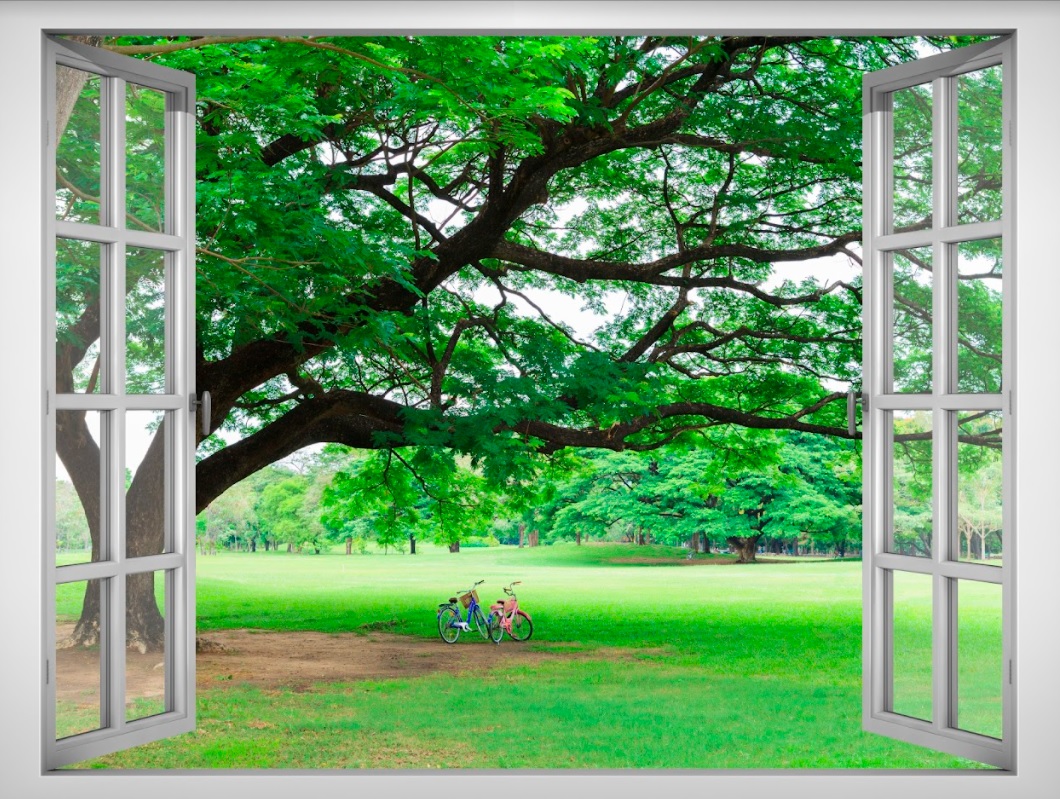 Tranh dán tường cửa sổ 3d vtc vt0159
