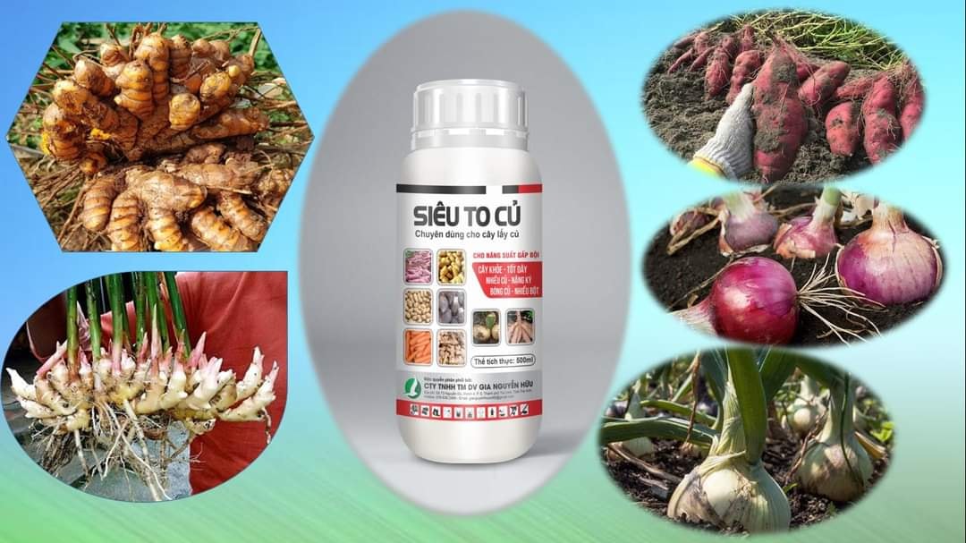 Phân bón siêu to củ (chai 500ml)