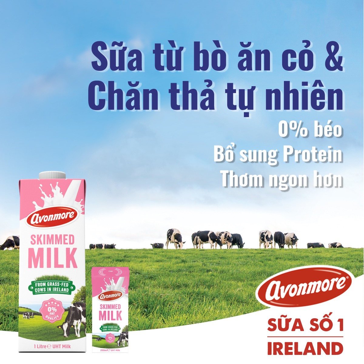 Sữa tươi tách béo tiệt trùng không đường avonmore uht skimmed milk 1l giảm - ảnh sản phẩm 5