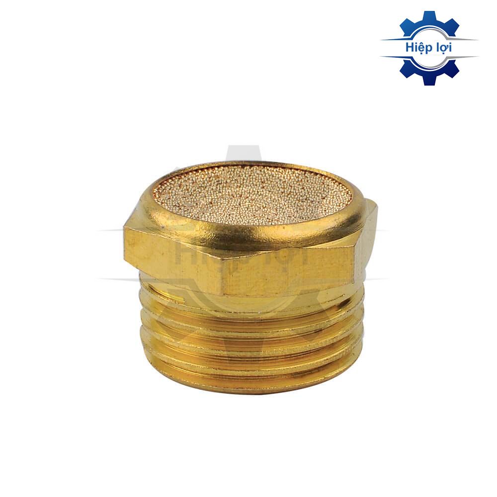 Giảm thanh đồng bằng SLM