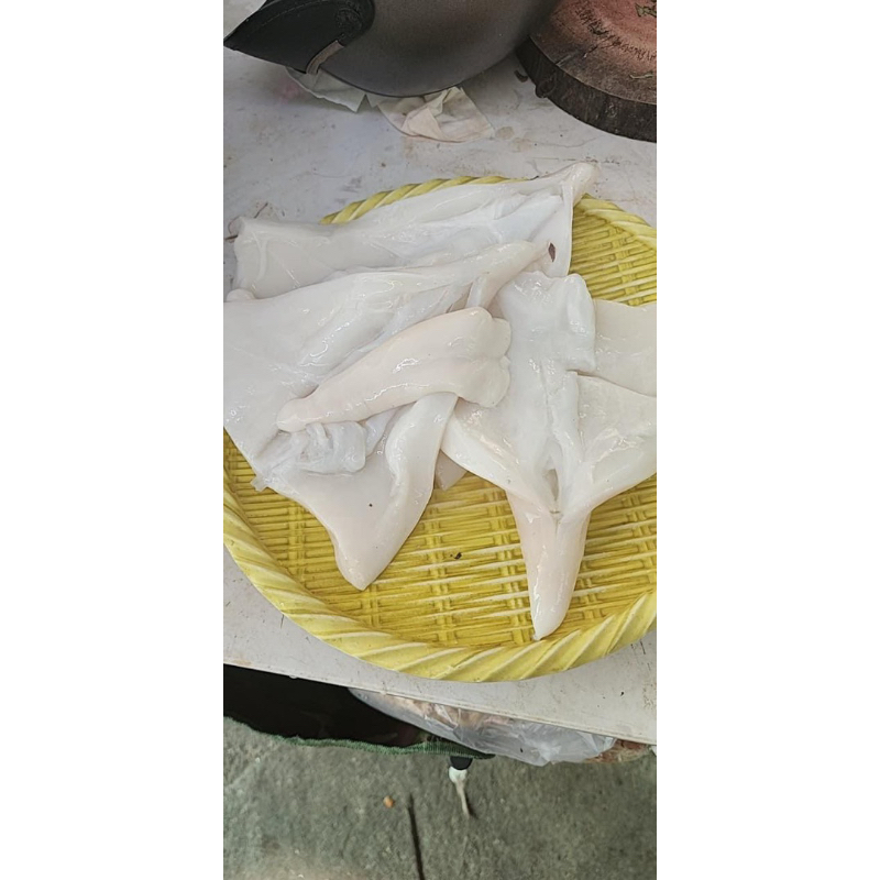 Đuôi mực ống đại dương bự chà bá Bịch 1kg net 9   (giao tphcm)