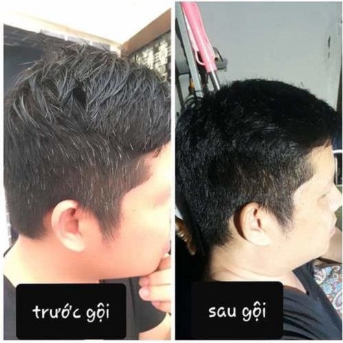 Dầu gội đen tóc Caotien - hộp 10 gói
